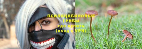 синтетический гашиш Бердск