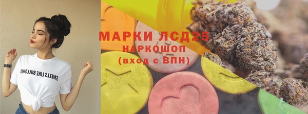 гидра Артём