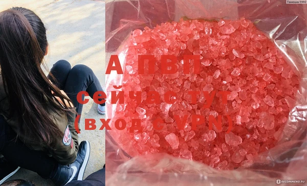 МДПВ Новый Уренгой