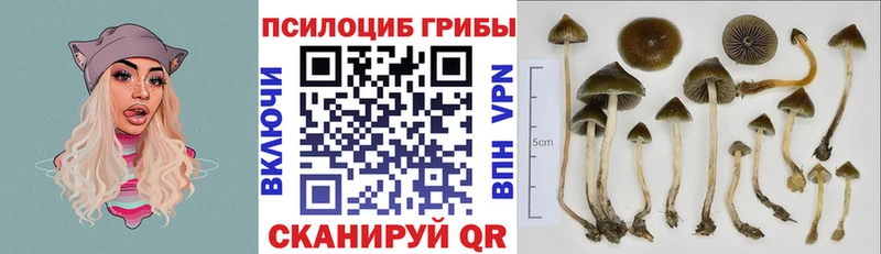 Галлюциногенные грибы мухоморы  даркнет сайт  Асино 