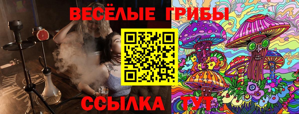 Меф Асино