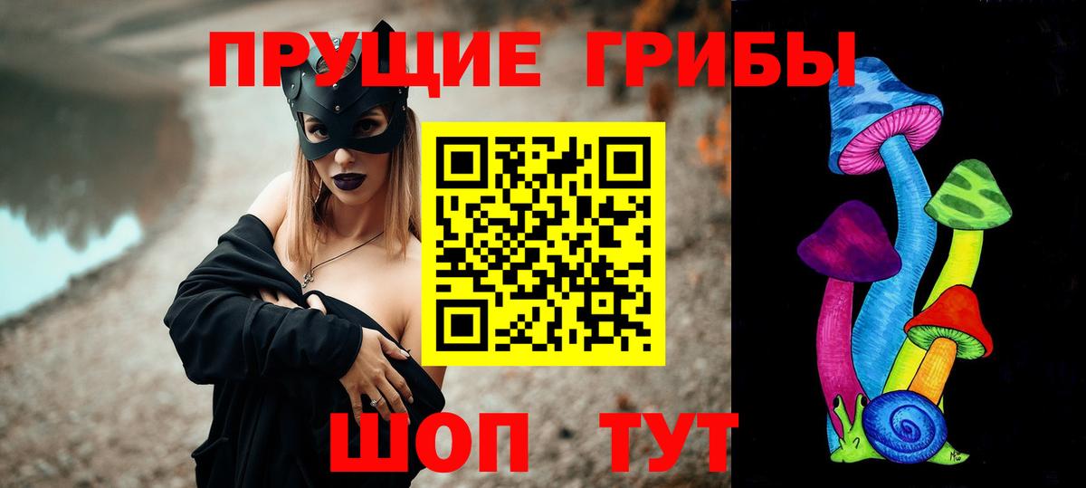 Асино  Галлюциногенные грибы ЛСД  Вход с VPN 