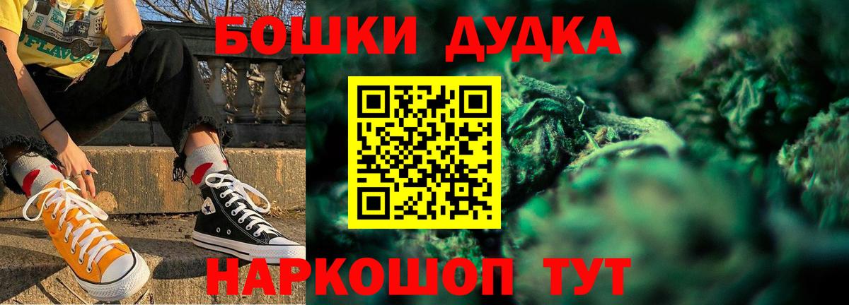 Каннабис планчик Асино